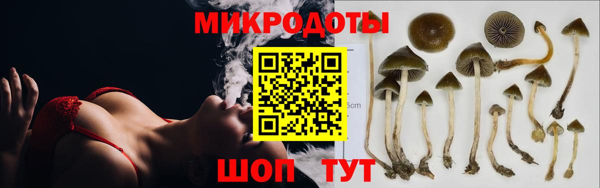 Галлюциногенные грибы Magic Shrooms  Вход с VPN  Воронеж 